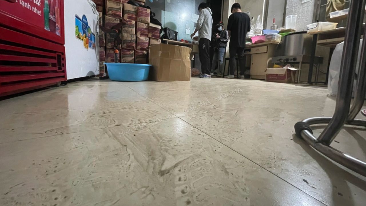 Nhà ốp sàn nhựa có hạn chế nồm ẩm không? Giải pháp vật liệu cho nhà luôn khô ráo