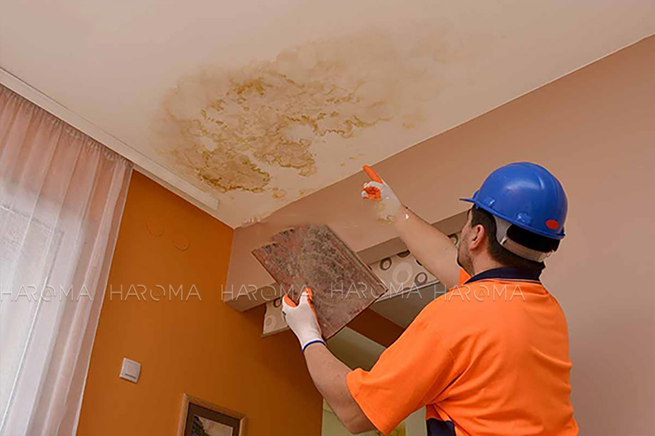 Nên làm trần nhựa nano hay trần thạch cao khi xây sửa nhà? Haroma